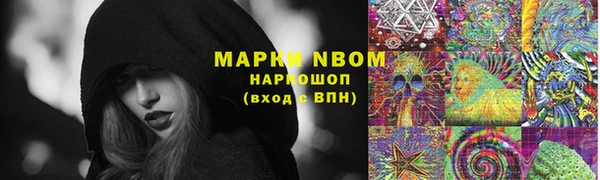 ПСИЛОЦИБИНОВЫЕ ГРИБЫ Белоозёрский