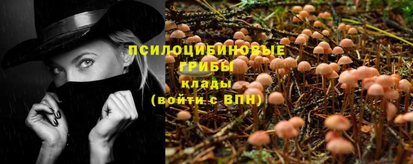 молекула духа Беломорск