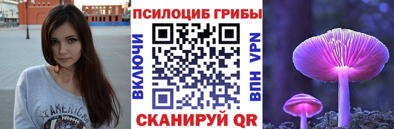 сайты даркнета Telegram  Гудермес  Псилоцибиновые грибы Psilocybe 